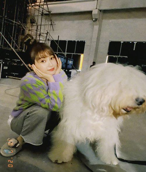 爆料娱乐圈虞书欣,揭秘明星背后的故事  第3张