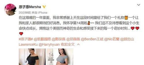 圈内爆料八卦小猪,娱乐圈八卦大揭秘