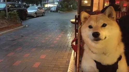 沭阳最新爆料新闻,揭秘当地重大事件背后真相 第1张 沭阳最新爆料新闻,揭秘当地重大事件背后真相 第1张