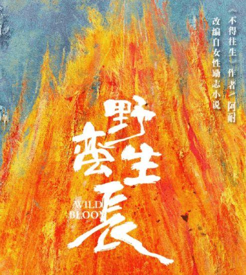 野蛮生长最新爆料,揭秘行业巨头背后的秘密与挑战 第1张 野蛮生长最新爆料,揭秘行业巨头背后的秘密与挑战 第1张