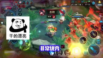 王者小宝茶最新爆料,神秘配方大揭秘，健康养生新潮流  第1张