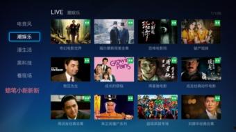 鸿毅电竞爆料视频在线观看,揭秘电竞圈幕后故事  第3张