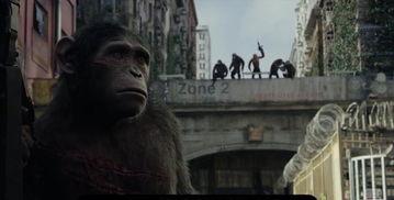 猿球崛起2在线观看,新纪元——智猿争霸,未来世界风云再起 第1张 猿球崛起2在线观看,新纪元——智猿争霸,未来世界风云再起 第1张