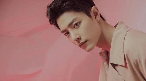 肖战最新综艺爆料事件,揭秘幕后真相与网络舆论影响 第2张 肖战最新综艺爆料事件,揭秘幕后真相与网络舆论影响 第2张