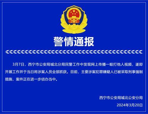 富宝铁合金爆料视频大全,揭秘行业真相与内幕  第3张