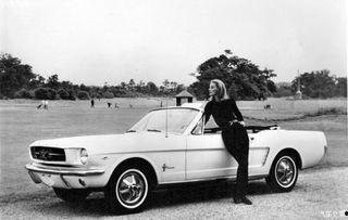 电影《野马》在线观看,探寻自由与束缚的青春之旅 第1张 电影《野马》在线观看,探寻自由与束缚的青春之旅 第1张