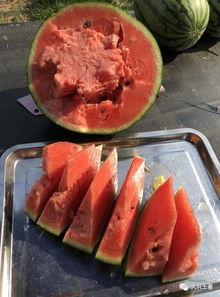 近期网红吃瓜视频,揭秘娱乐圈最新热点事件  第2张