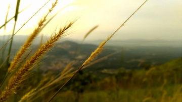 风景视频爆料大全最新网站,尽享视觉盛宴 第1张 风景视频爆料大全最新网站,尽享视觉盛宴 第1张